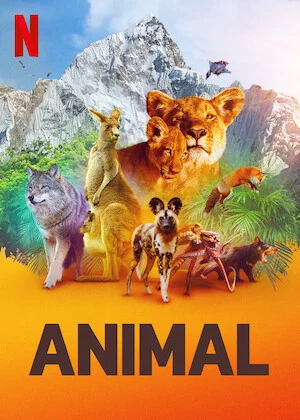 Watch Động vật (Phần 1) 3 HD