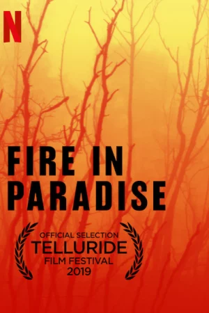 Hỏa hoạn tại Paradise HD