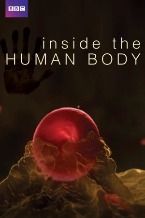Watch Inside the Human Body 04 HD